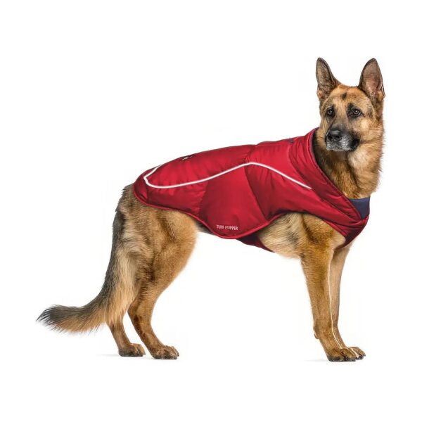 Comfortable Winter Dog Jacket with Machine Washable Fabric and Water-Repellent Insulation