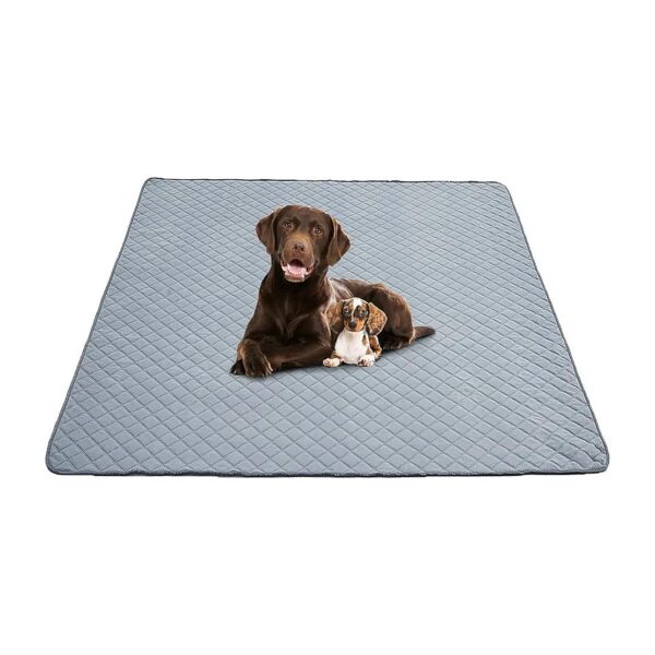 Comfortable and Absorbent Pet Training Pads for Any Size Dog