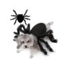 Comfortable and Adjustable Black Spider Costume for Small Cats and Dogs