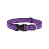 Comfortable and Adjustable Dog Collar for Big Dogs with Jelly Roll Design