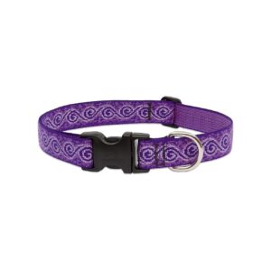 Comfortable and Adjustable Dog Collar for Big Dogs with Jelly Roll Design