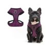 Comfortable and Adjustable Dog Harness for Small Medium Large Dogs