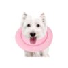 Comfortable and Adjustable Dog Recovery Collar for Small Dogs to Stop Licking