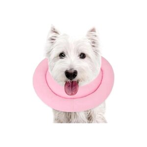 Comfortable and Adjustable Dog Recovery Collar for Small Dogs to Stop Licking