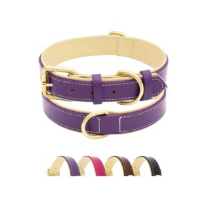 Comfortable and Adjustable Leather Dog Collar with Gold Buckle and Microfiber Padding