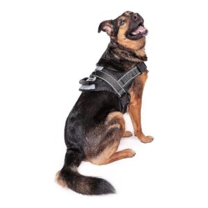 Comfortable and Adjustable No Pull Dog Harness for Large Breeds, Black Mesh Finish