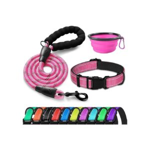 Comfortable and Adjustable Nylon Dog Collar and Leash for Small Medium Large Dogs