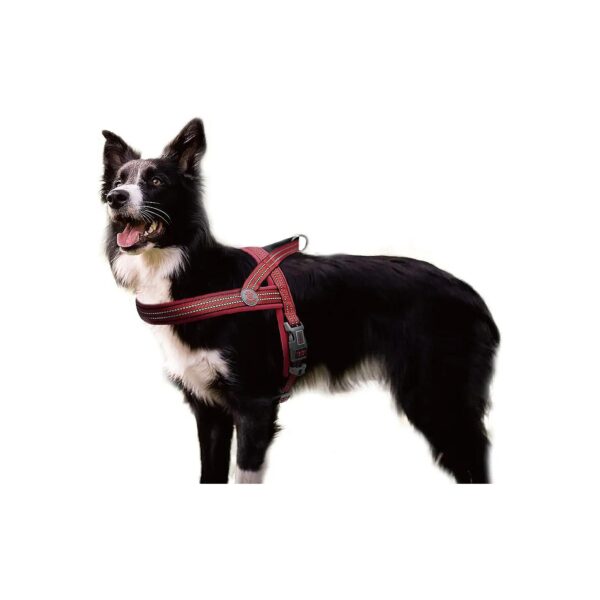 Comfortable and Adjustable Nylon Dog Harness for Maximum Ease