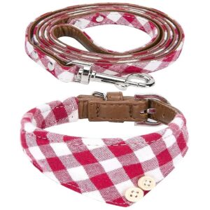 Comfortable and Adjustable Small Dog Collar with Buckle and Leash in Bordeaux Red