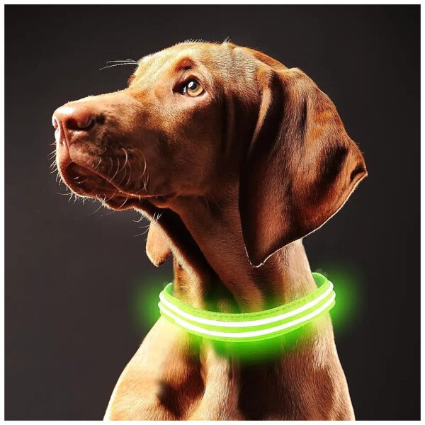 Comfortable and Adjustable Waterproof Dog Collar with Led Light Reflecting