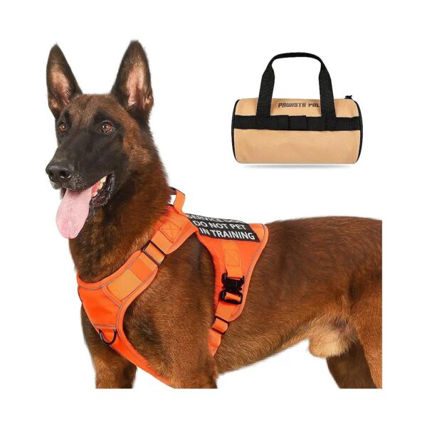 Comfortable and Breathable Dog Harness with Heavy Duty Metal Buckle and Adjustable Straps