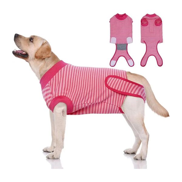 Comfortable and Breathable Dog Spay Neuter Recovery Suit for Female Male Dogs Cats