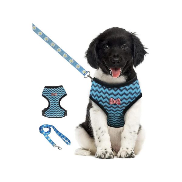 Comfortable and Breathable Dog Vest Harness for Small to Medium Dogs with Nylon Webbing