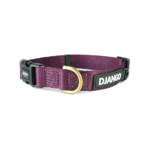 Comfortable and Durable Small Dog Collar with Brass D-Ring and ID Tag Attachment Piece