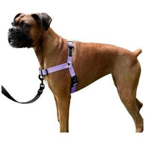 Comfortable and Effective No-Pull Dog Harness for Medium Dogs