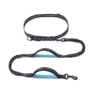 Comfortable and Flexible Dual Handle Waist Leash for Small to Large Breed Dogs