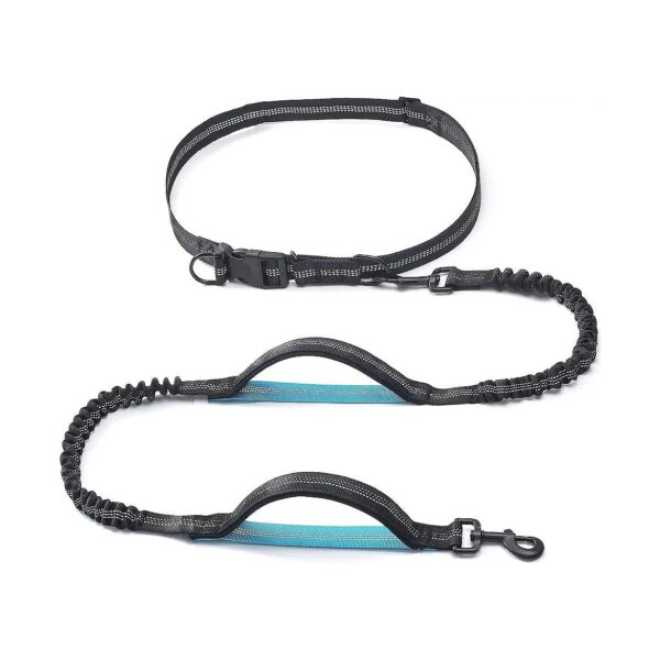 Comfortable and Flexible Dual Handle Waist Leash for Small to Large Breed Dogs