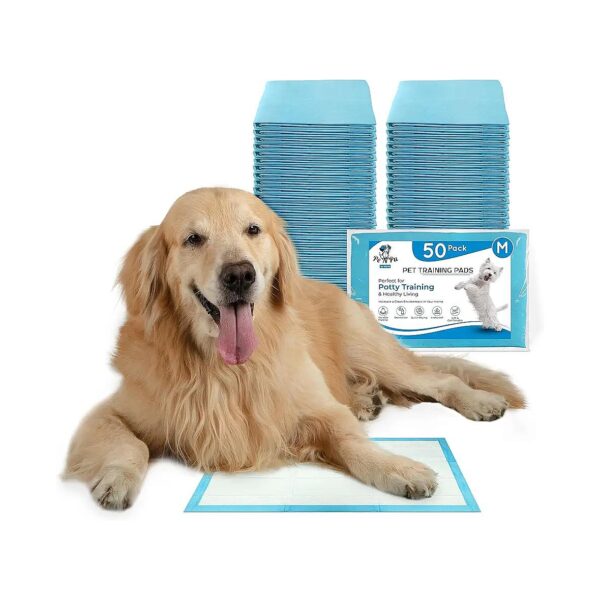 Comfortable and Gentle Dog Training Pads for Happy and Healthy Pets