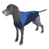 Comfortable and Practical E Collar Alternative for Dogs After Surgery