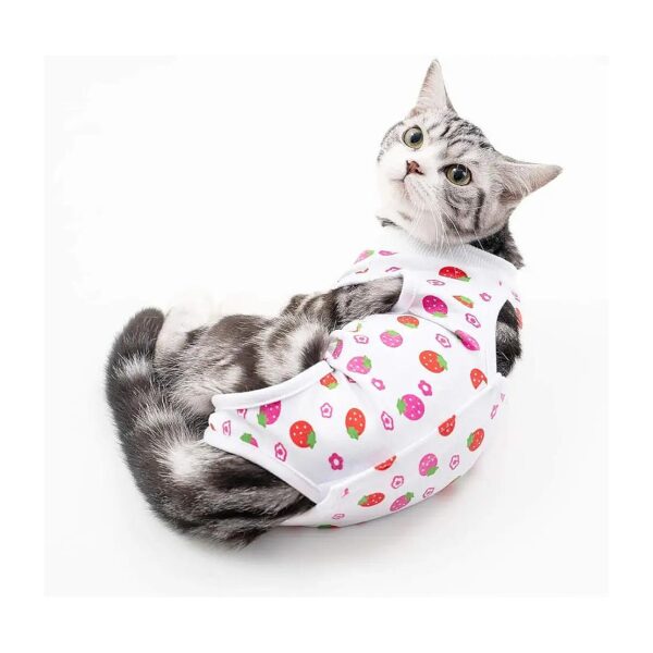 Comfortable and Protective Cat Recovery Suit for Cats, Strawberry L