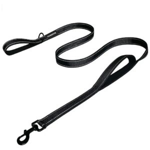 Comfortable and Reflective 6 Foot Dog Leash with Two Handles for Large Dogs