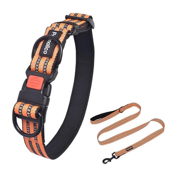 Comfortable and Reflective Orange Nylon Dog Collar with Matching Leash and Double D-Ring