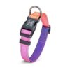 Comfortable and Safe Dog Collar with Buckle Closure and Gradient Mistyrose Pattern