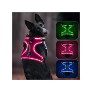 Comfortable and Safe LED Dog Harness for Large Dogs with Neoprene Padding and LED Lights