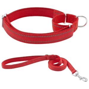 Comfortable and Safe Red Nylon Martingale Collar with Leash for Small Medium Large Dogs