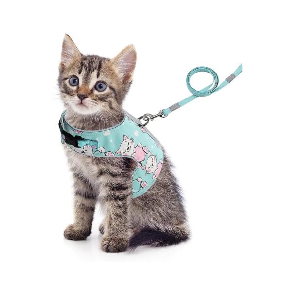 Comfortable and Secure Cat Harness and Leash Set for Small and Medium Cats, Green