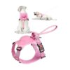 Comfortable and Secure Dog Vest Harness for Medium Dogs