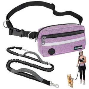 Comfortable and Secure Hands Free Dog Leash for Small Medium Large Dogs