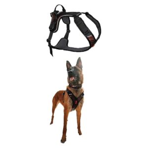 Comfortable and Versatile Dog Harness for Medium Dogs with Adjustable Leash Clips