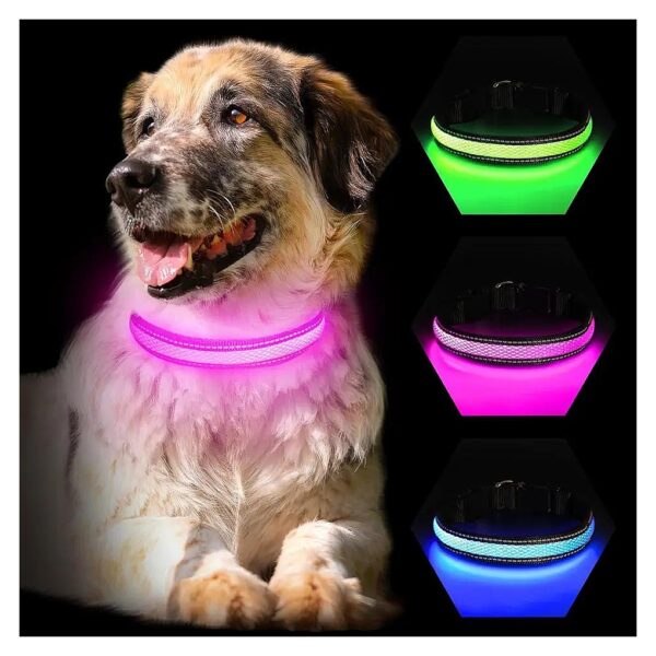 Comfortable and Visibly Safe Glow Dog Collar for Night Walking