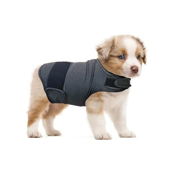 Comforting Dark Gray Dog Anxiety Vest for Small to Large Breeds