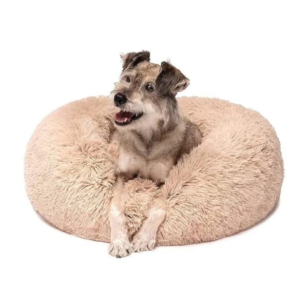 Comfy Calming Dog Bed with Raised Edges for Small Breed Anxiety Sufferers