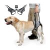 Comfy and Breathable Dog Harness with Padded Back Legs for Medium Large Breed Pets