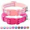 Comfy and Safe Dog Collars with Chrome Coated Metal D Ring for Small Dogs