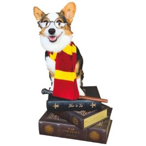 ComfyCamper Red Yellow Scarf Dog Costume X Large Medium Pet Cosplay Halloween Costume