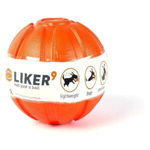 Compact and Soft Training Ball for Dog Training and Fun