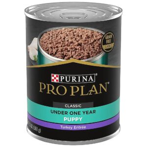 Complete Balanced Nutrition Puppy Food Wet Cans Turkey Flavor High Protein