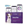 Comprehensive Dog DNA Testing Kit with LifePlan Wellness Report