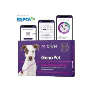 Comprehensive Dog DNA Testing Kit with LifePlan Wellness Report