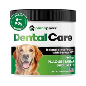 Comprehensive Dog Dental Care Solution with Bactase PET for Healthy Teeth and Gums