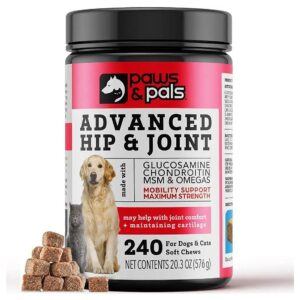 Comprehensive Dog Joint Supplements for Health and Comfort