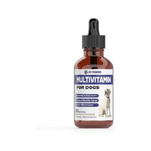 Comprehensive Dog Vitamins and Supplements for Every Breed and Size