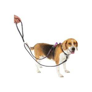 Control Leash and No-Pull Dog Harness with Buckle for Easy Walking and Training