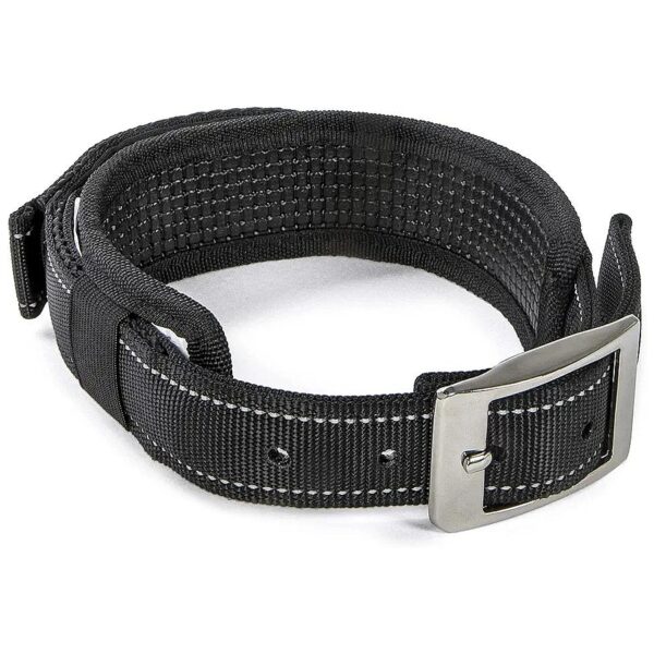 Control and Comfort Dog Collar with Soft Padded Pull Handle and Built-In Quick Grab Leash