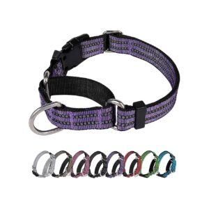 Control and Prevention Martingale Collar for Dogs with Strong Pullers