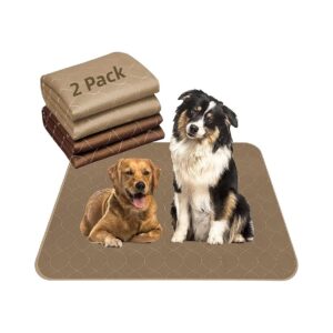 Convenient and Mess-Free Dog Training Pads for Puppies and Seniors